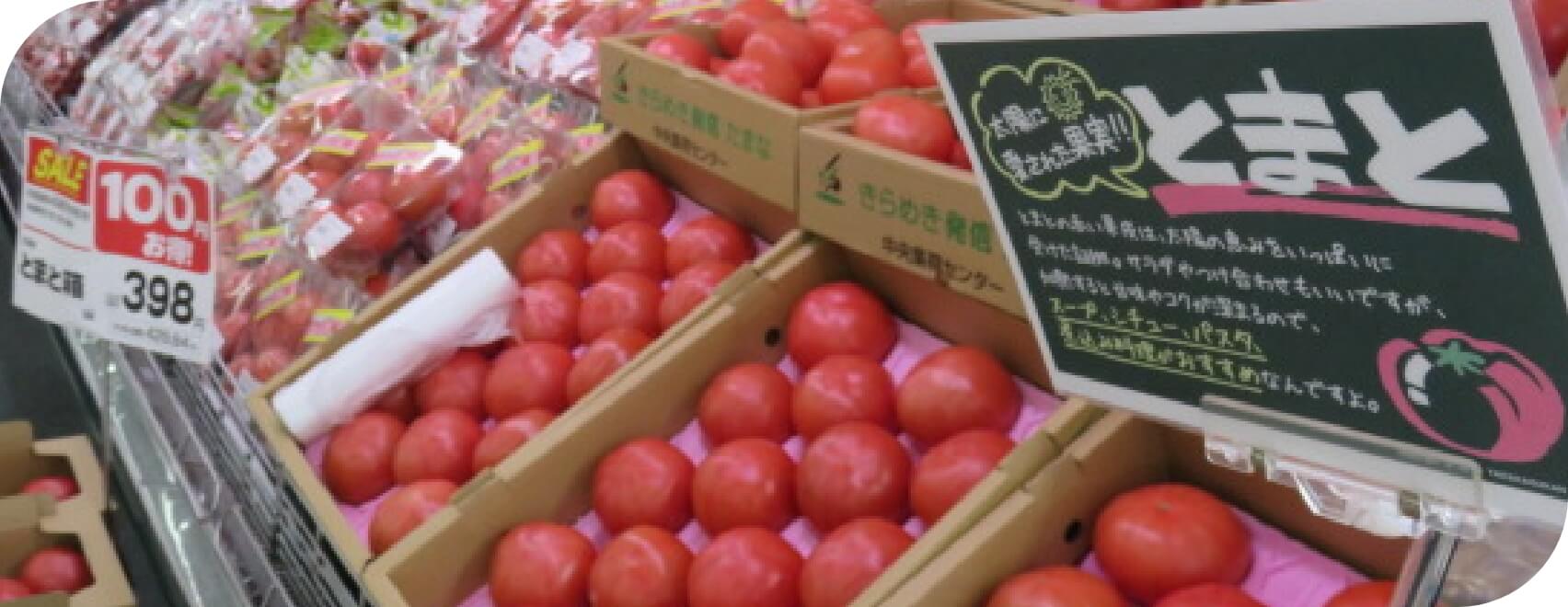 野菜が陳列されている写真