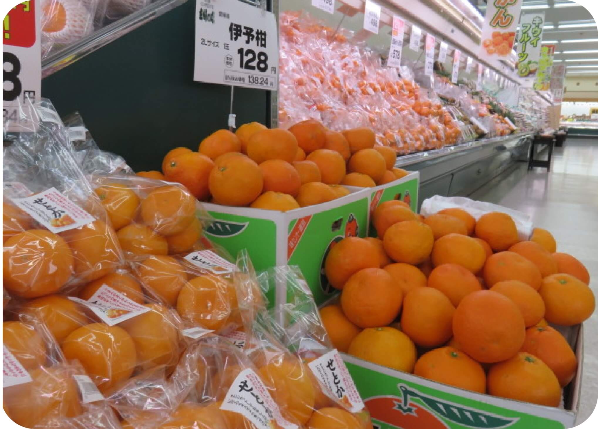 果物が陳列されている写真