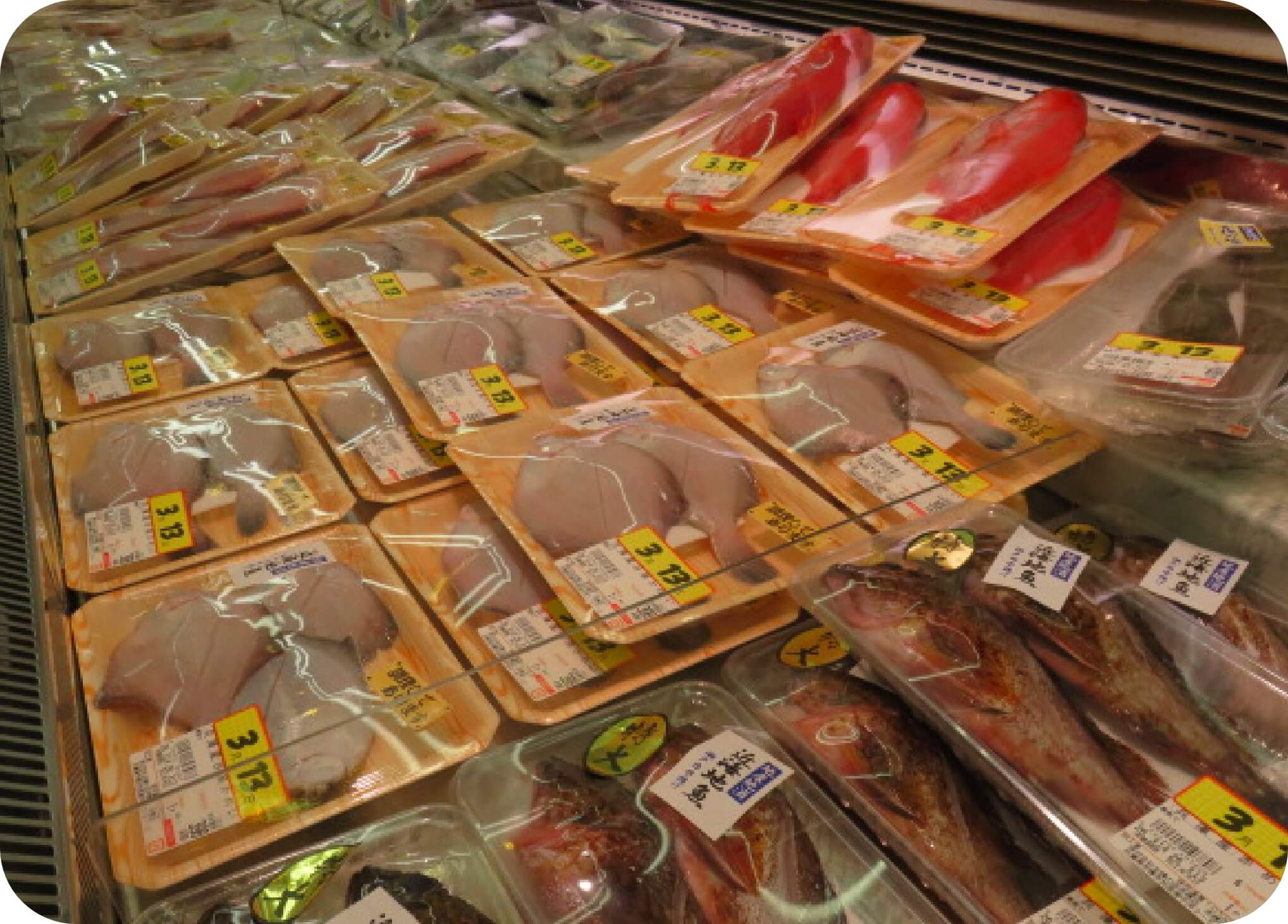 鮮魚が陳列されている写真
